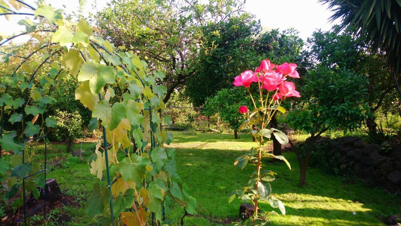 B&B Casanera Riposto Zewnętrze zdjęcie