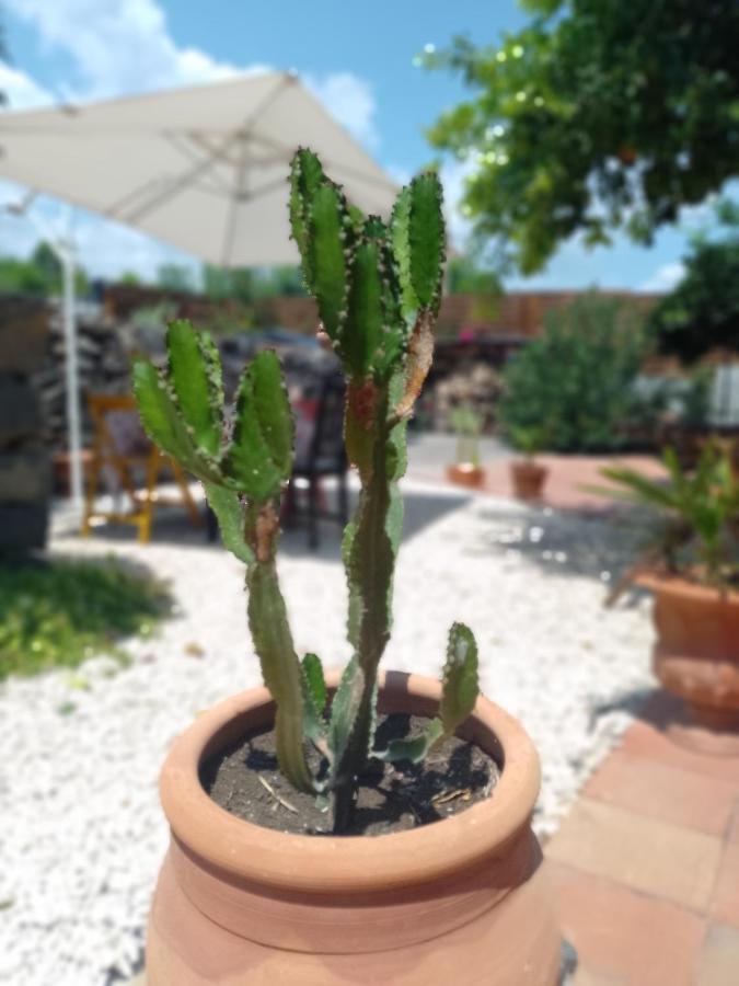 B&B Casanera Riposto Zewnętrze zdjęcie
