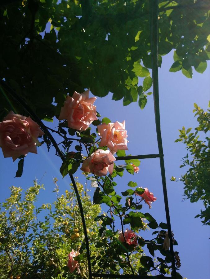 B&B Casanera Riposto Zewnętrze zdjęcie