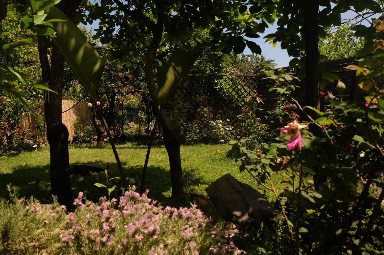 B&B Casanera Riposto Zewnętrze zdjęcie