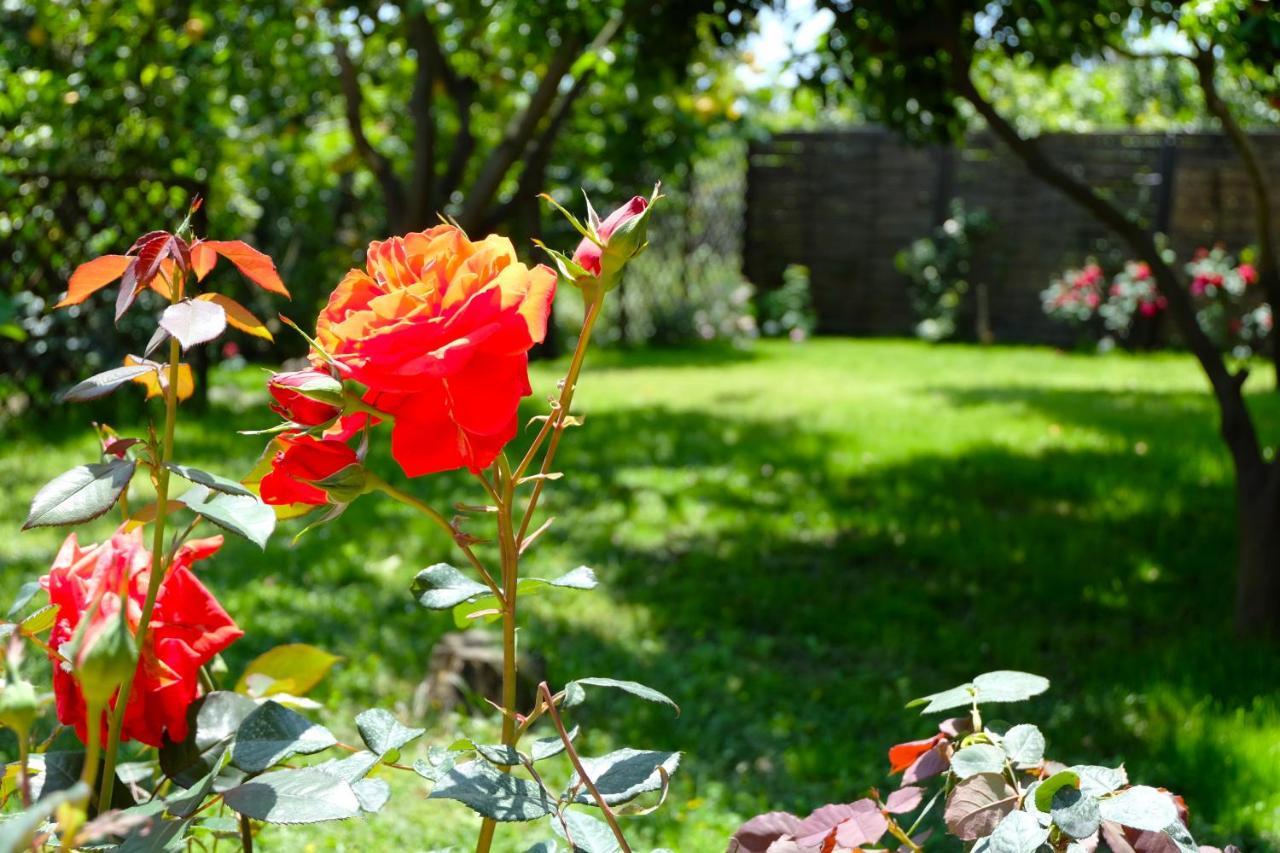 B&B Casanera Riposto Zewnętrze zdjęcie