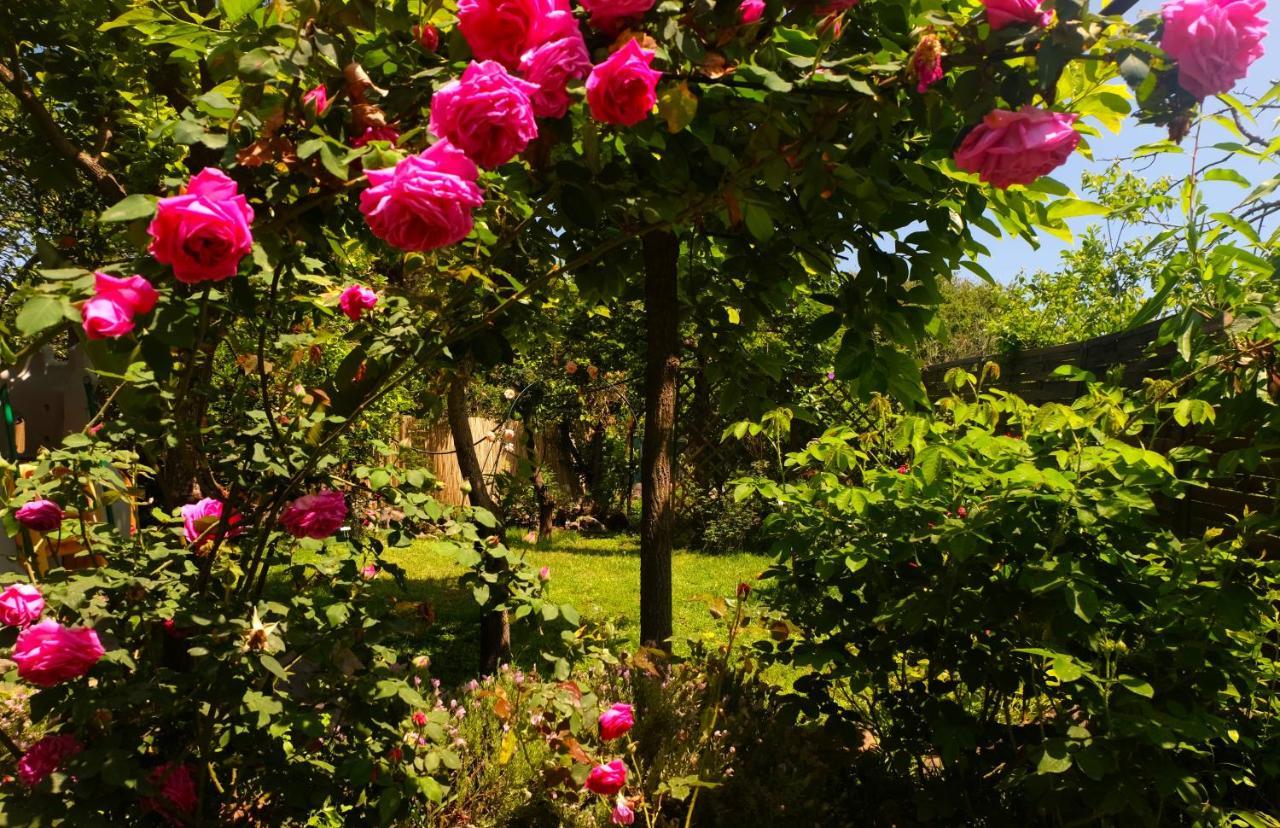 B&B Casanera Riposto Zewnętrze zdjęcie
